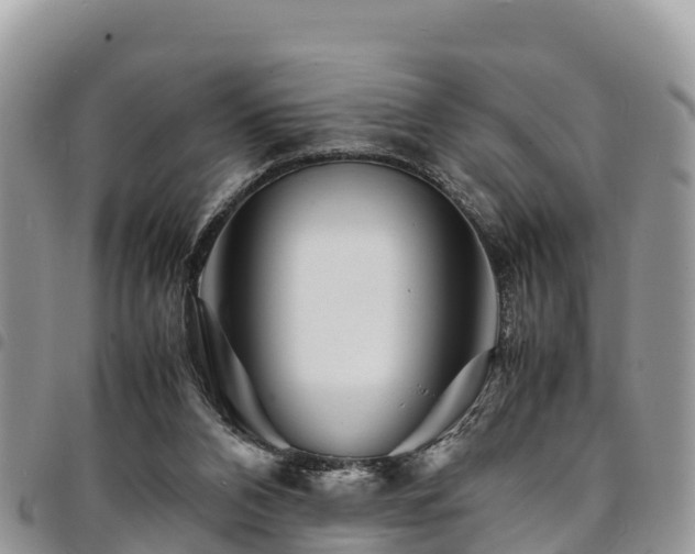 X0000094930112200711291343