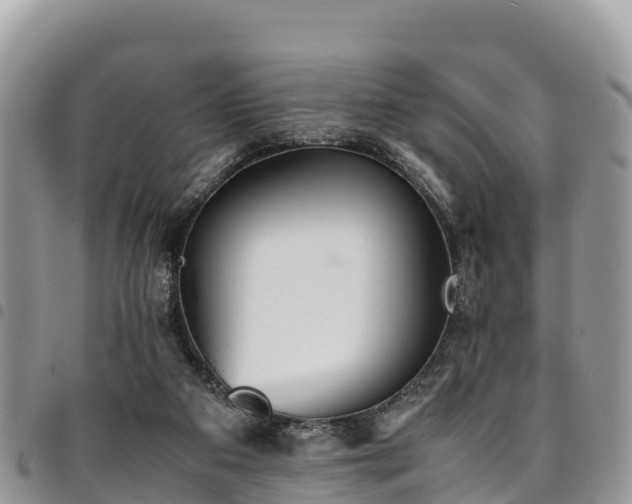 X0000094930113200711291343