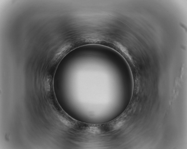 X0000094930114200711291343