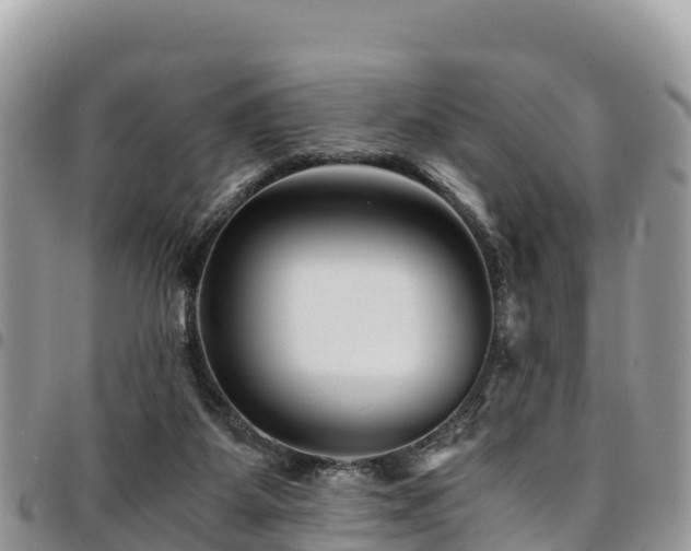 X0000094930115200711291343
