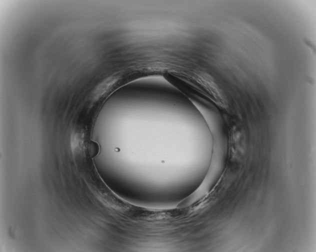 X0000094930116200711291343