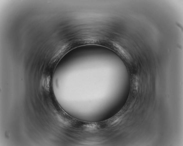 X0000094930118200711291343