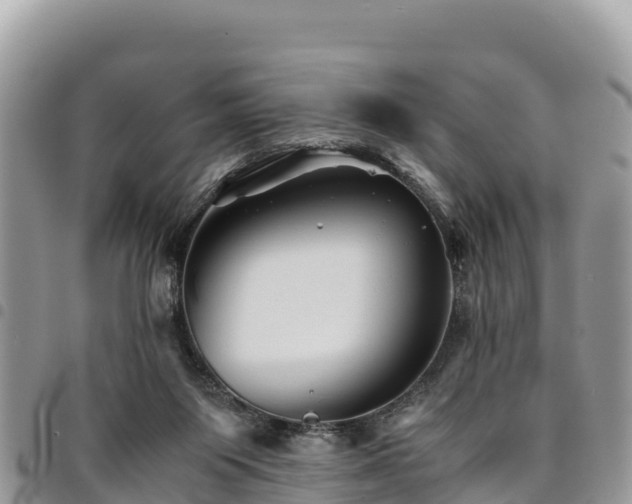 X0000094930119200711291343