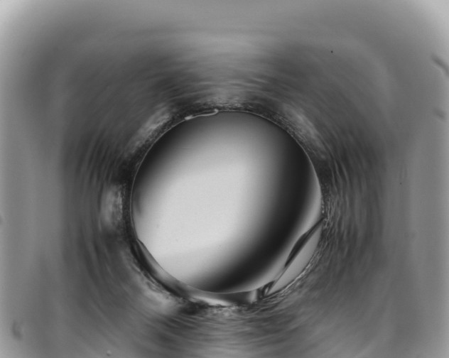 X0000094930120200711291343