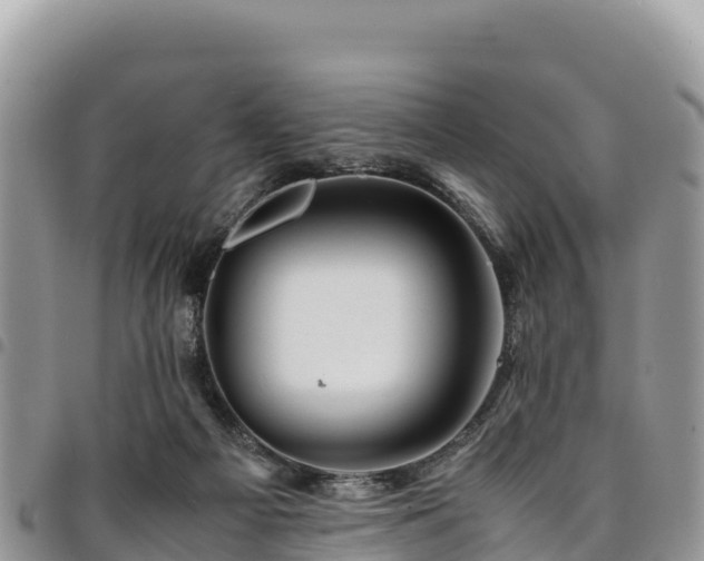 X0000094930121200711291343
