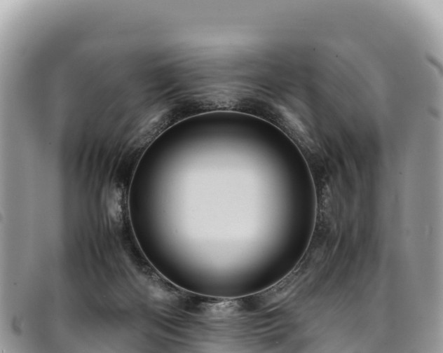 X0000094930122200711291343