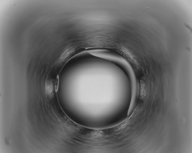 X0000094930124200711291343