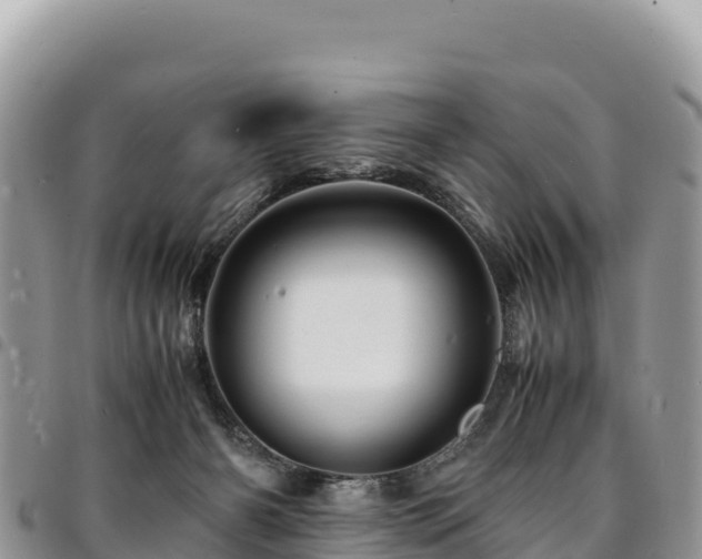 X0000094930126200711291343