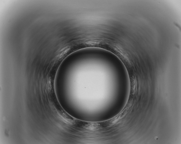 X0000094930128200711291343