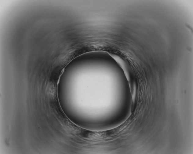 X0000094930129200711291343