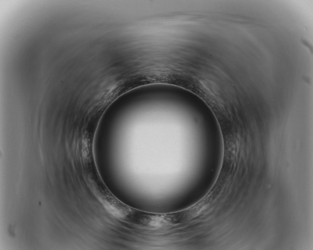 X0000094930130200711291343