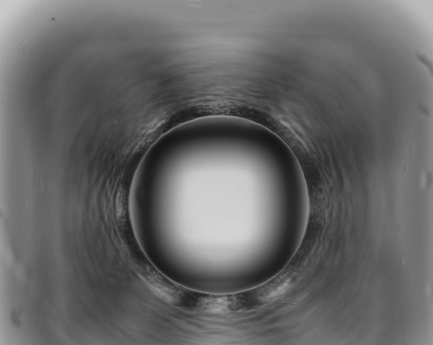 X0000094930131200711291343