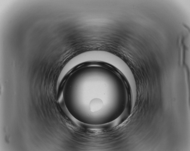 X0000094930132200711291343