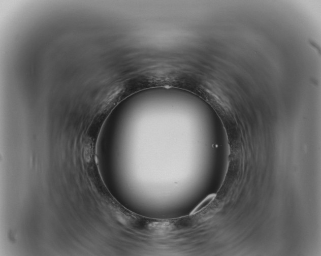 X0000094930133200711291343