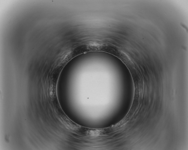 X0000094930134200711291343