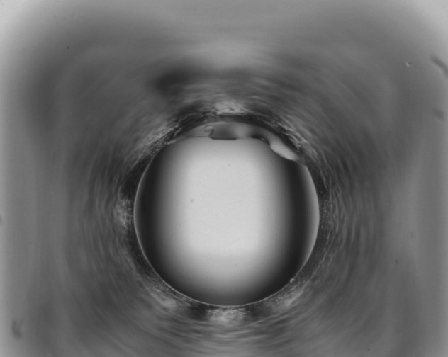 X0000094930135200711291343