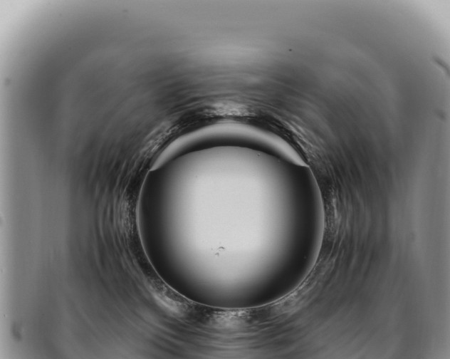 X0000094930136200711291343