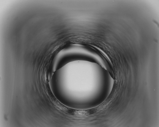 X0000094930137200711291343