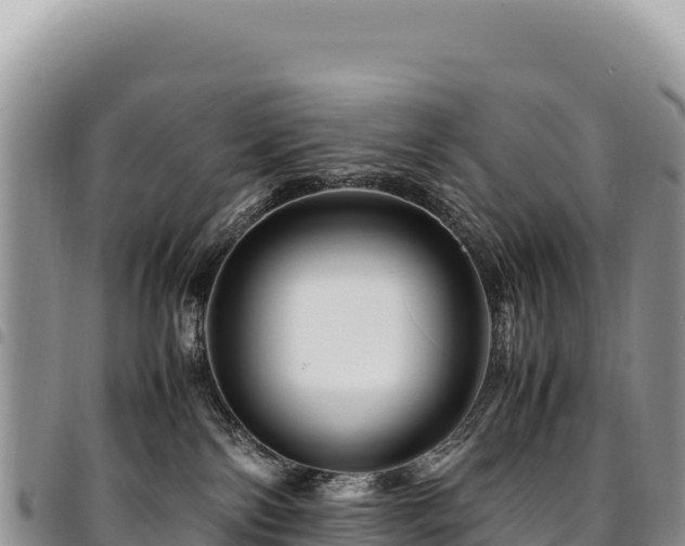 X0000094930138200711291343