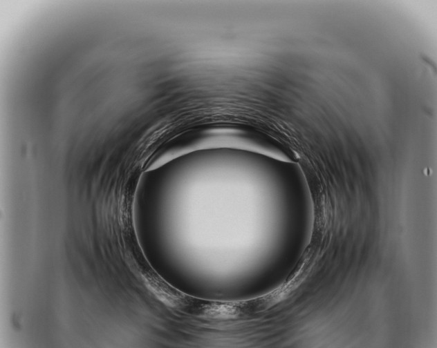 X0000094930140200711291343