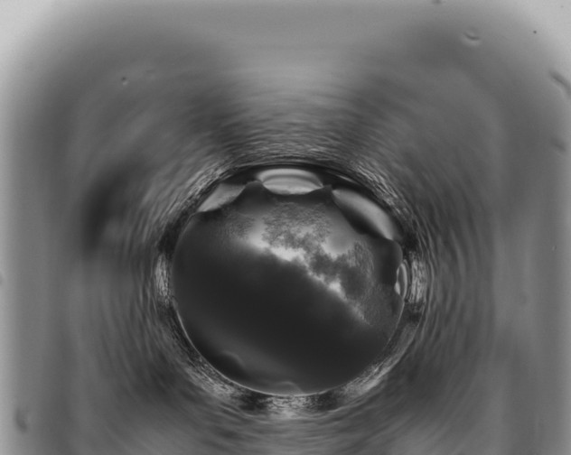 X0000094930143200711291343