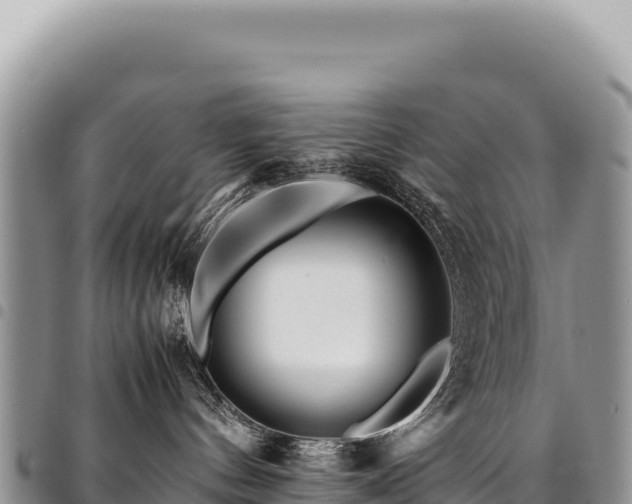 X0000094930144200711291343