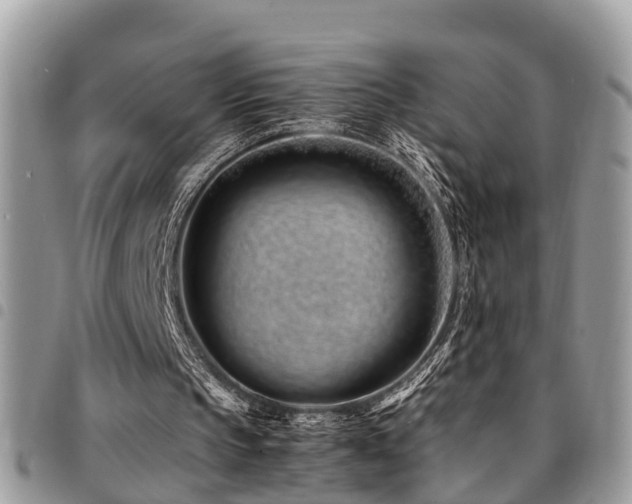 X0000094930145200711291342