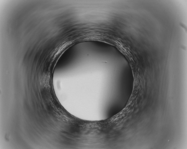 X0000094930146200711291342