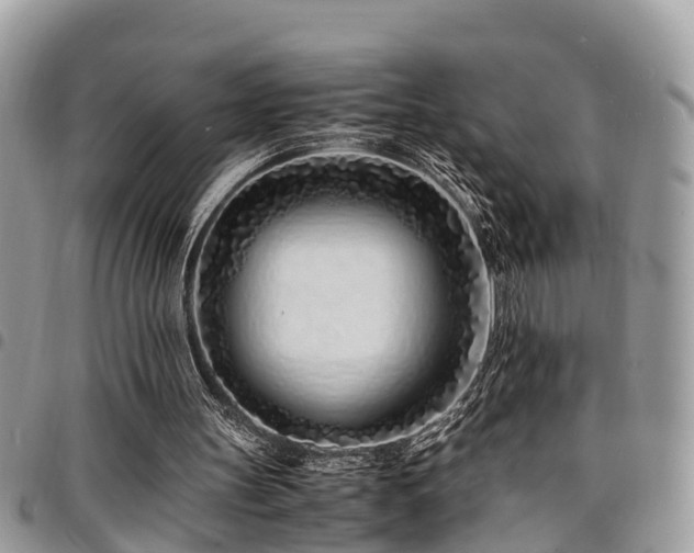 X0000094930147200711291342