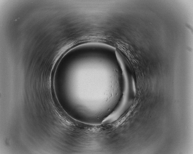 X0000094930148200711291342