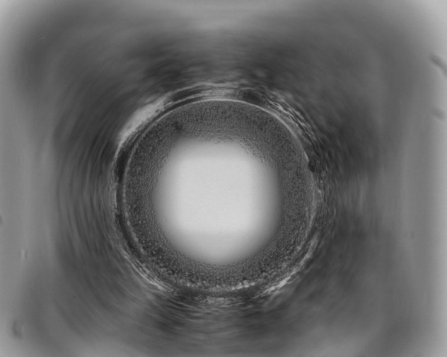 X0000094930149200711291342