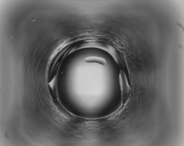 X0000094930150200711291342