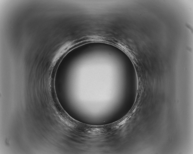 X0000094930151200711291342