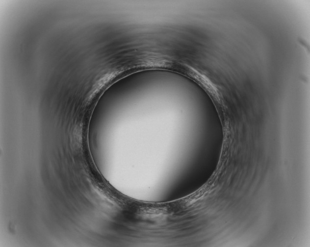 X0000094930155200711291342