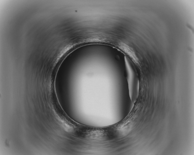 X0000094930156200711291342