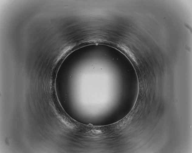 X0000094930159200711291342
