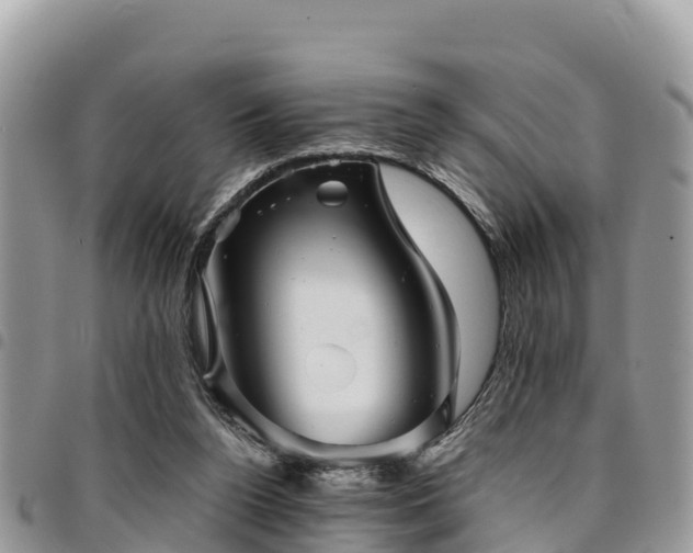 X0000094930160200711291342