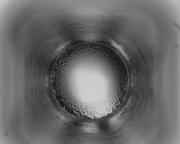 X0000094930161200711291342