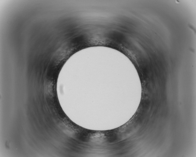 X0000094930162200711291342