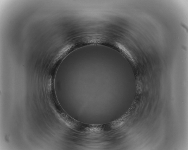 X0000094930163200711291342