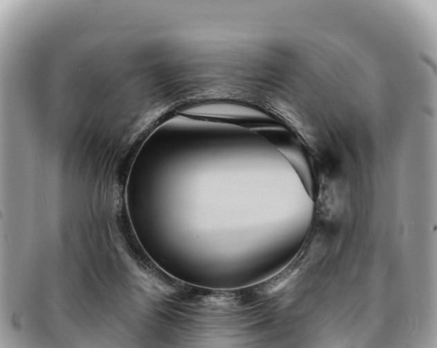 X0000094930164200711291342