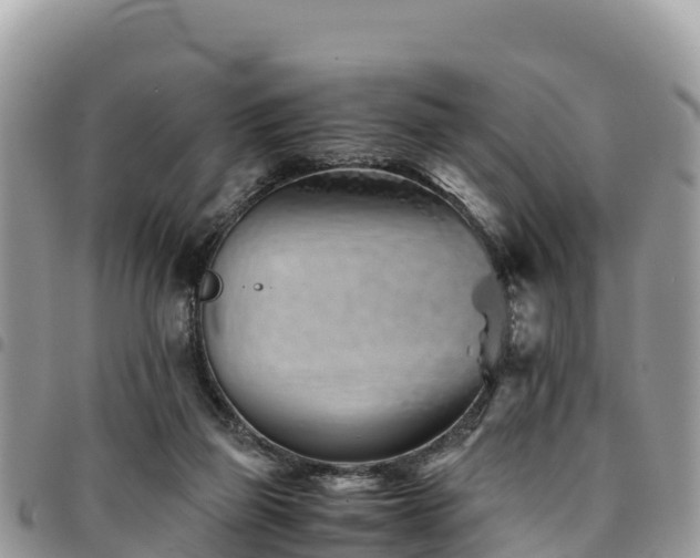 X0000094930165200711291342
