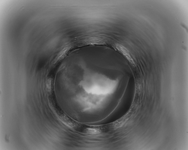 X0000094930167200711291342