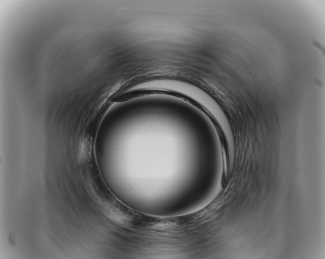 X0000094930168200711291342