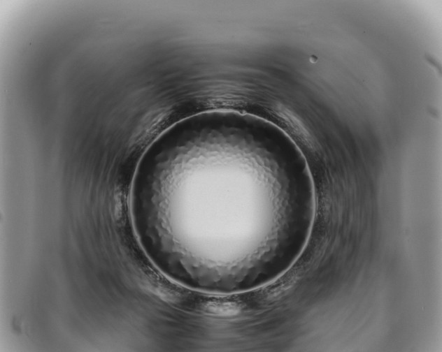 X0000094930169200711291342