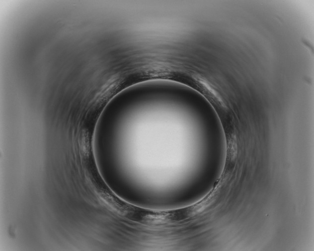 X0000094930170200711291342