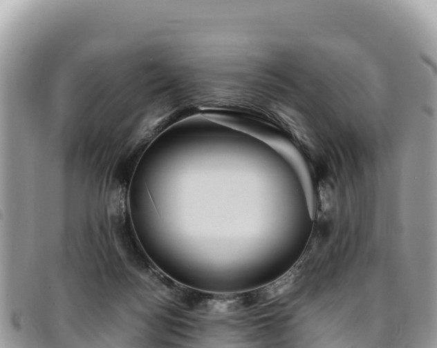 X0000094930172200711291342