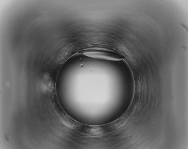 X0000094930173200711291342