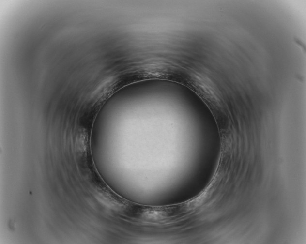 X0000094930174200711291342