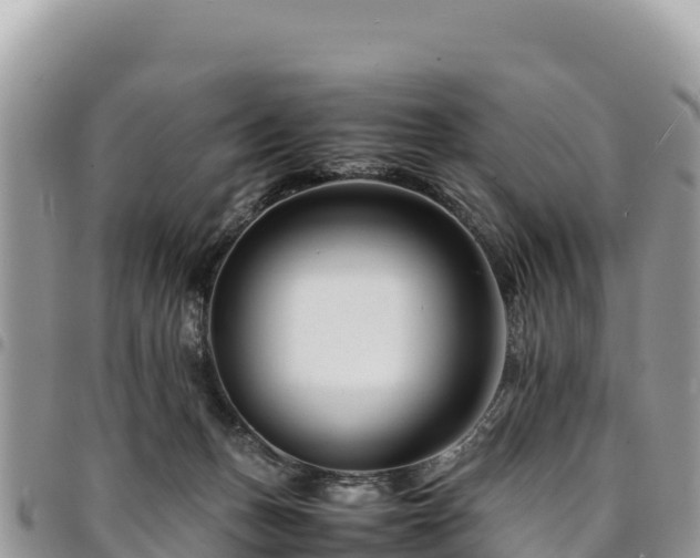 X0000094930175200711291342